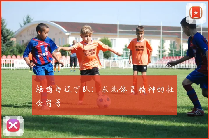 杨鸣与辽宁队：东北体育精神的社会符号
