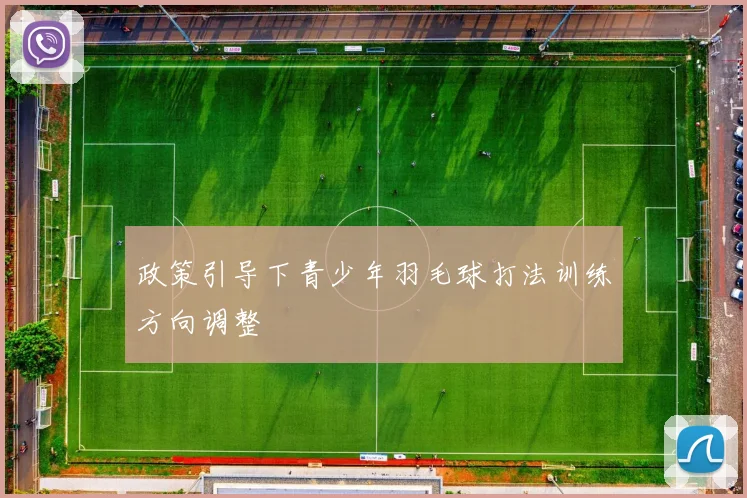 政策引导下青少年羽毛球打法训练方向调整