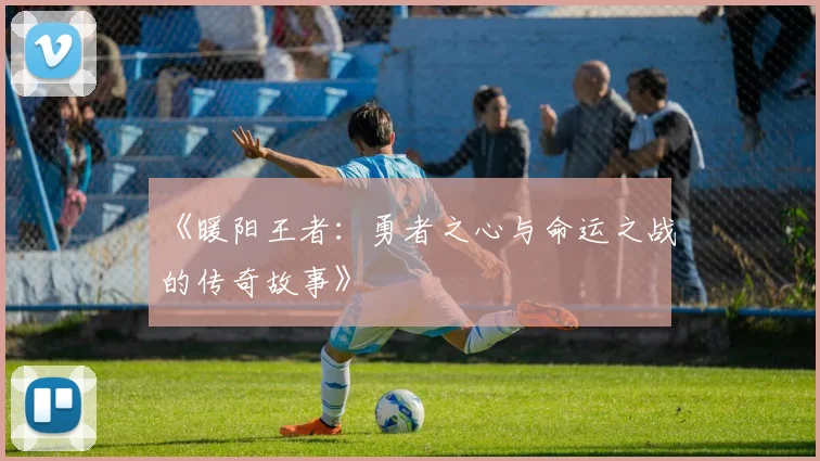 《暖阳王者：勇者之心与命运之战的传奇故事》