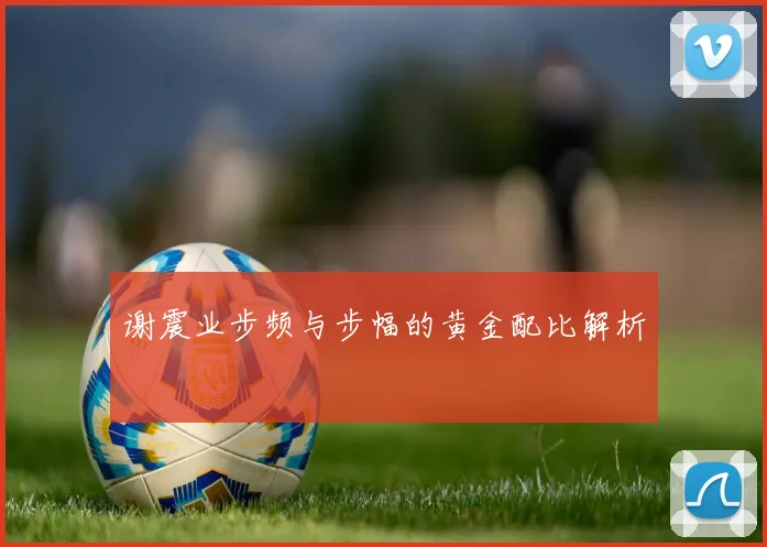 谢震业步频与步幅的黄金配比解析