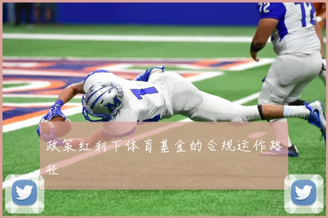 政策红利下体育基金的合规运作路径