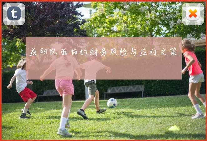 益阳队面临的财务风险与应对之策