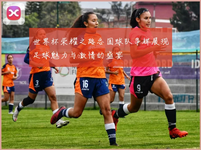 世界杯荣耀之路各国球队争辉展现足球魅力与激情的盛宴